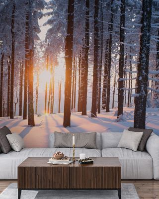 Snowy Woods at Sunset Scenic Wallpaper