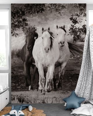 Three Wild Horses Sepia Wallpaper