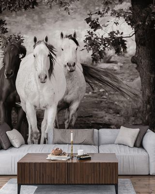 Three Wild Horses Sepia Wallpaper