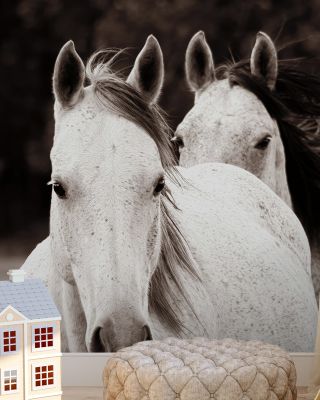 Two Wild Horses Sepia Wallpaper