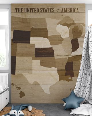 USA Modern Vintage Wood Map Wallpaper