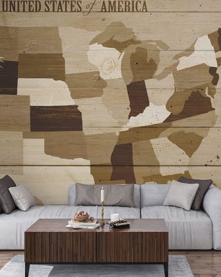 USA Modern Vintage Wood Map Wallpaper