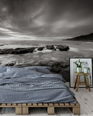 Kalaloch Beach Coastal Wallpaper