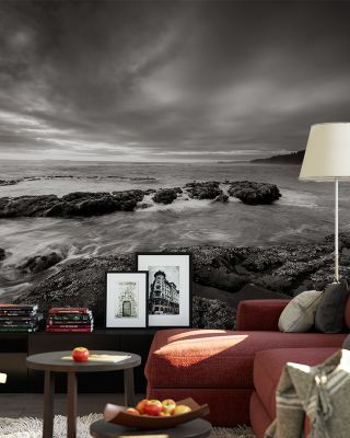 Kalaloch Beach Coastal Wallpaper