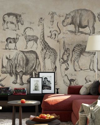 Wild Africa Safari Adventure Wallpaper