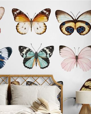 Brown Argus Butterfly Wallpaper Mural
