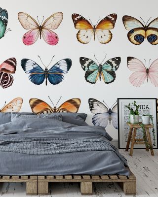 Brown Argus Butterfly Wallpaper Mural