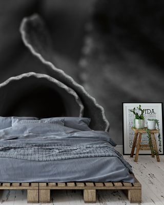 Circling Around Wallpaper Mural