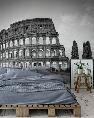 Colosseum Study Wallpaper Mural