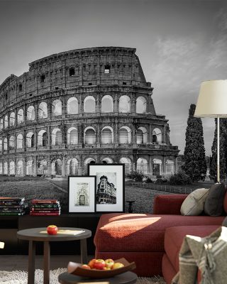 Colosseum Study Wallpaper Mural