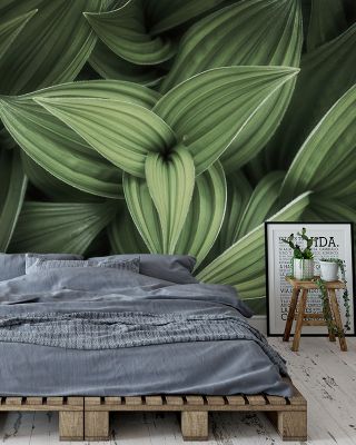 Corn Lily Wallpaper Mural
