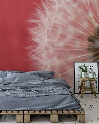Dandelion on Red III Wallpaper Mural