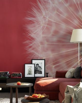Dandelion on Red III Wallpaper Mural