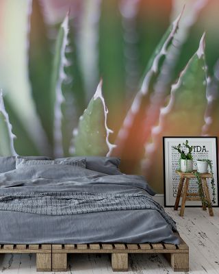 Dream Desert IV Wallpaper Mural