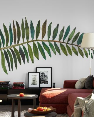 Forest Fern II Wallpaper Mural