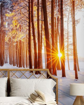 Freezing Cold Breath Wallpaper Mural