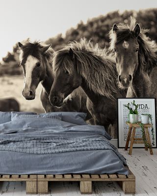 Horses Three Sepia Rustic Wallpaper