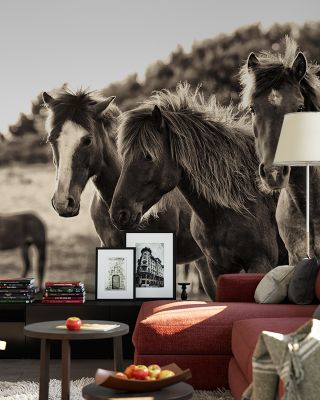 Horses Three Sepia Rustic Wallpaper