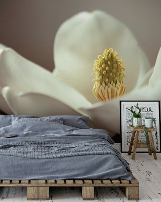 Magnolia Detail II Floral Wallpaper