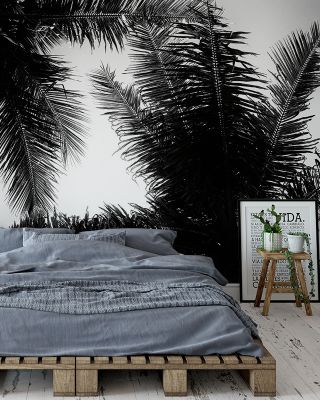 Palm Tree Looking Up I Tropical Wallpaper