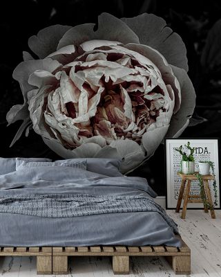 Piwonia Floral Wallpaper