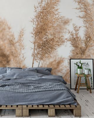 Soft Reed Nature Wallpaper
