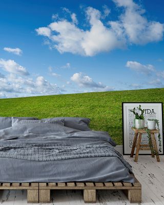 Up That Hill Scenic Wallpaper