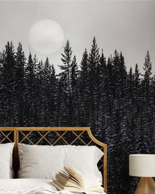 Winter Sun Scenic Wallpaper