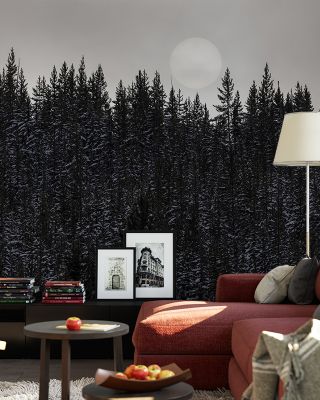 Winter Sun Scenic Wallpaper