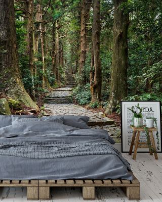 Daimonzaka Ancient Steps Nature Wallpaper