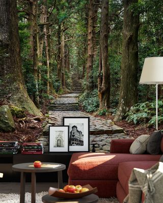 Daimonzaka Ancient Steps Nature Wallpaper