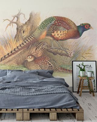 Autumn Pheasant Rustic Wallpaper