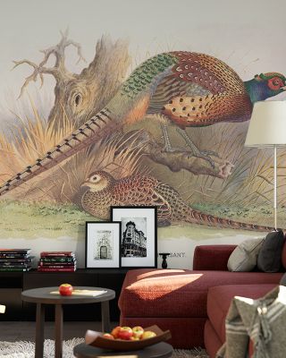 Autumn Pheasant Rustic Wallpaper