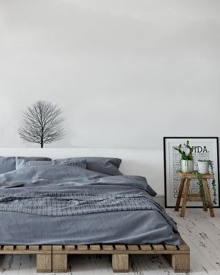 Bare Winter Scenic Wallpaper