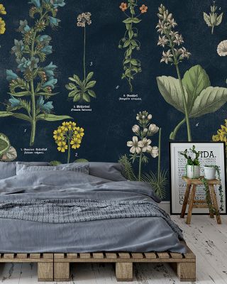 Botanical Floral Chart I Dark Blue Wallpaper