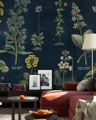 Botanical Floral Chart I Dark Blue Wallpaper