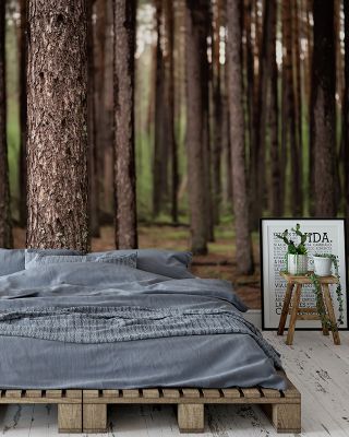 Dark Pine Forest Scenic Wallpaper
