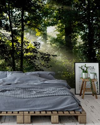 Early Morning Scenic Wallpaper
