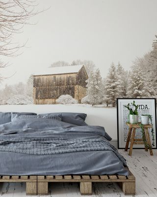 First Snow Scenic Wallpaper