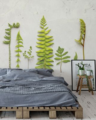 Flat Lay Ferns Botanical Wallpaper