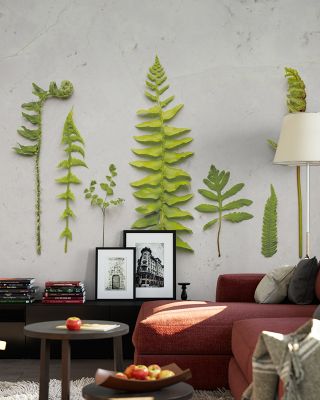 Flat Lay Ferns Botanical Wallpaper