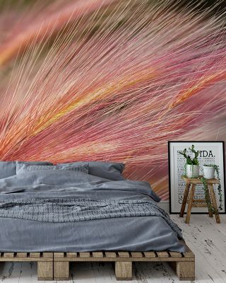 Foxtail Barley Variation Botanical Wallpaper