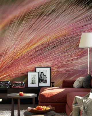 Foxtail Barley Variation Botanical Wallpaper