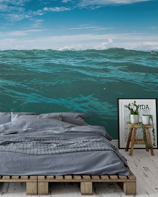 Free in the Ocean Scenic Wallpaper