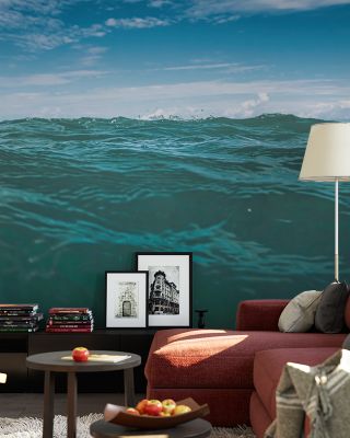 Free in the Ocean Scenic Wallpaper