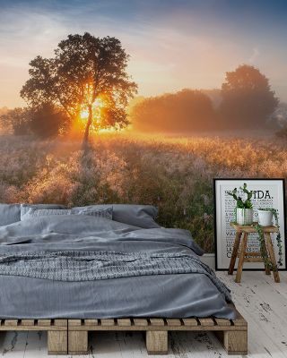 Misty Sunny Field Scenic Wallpaper