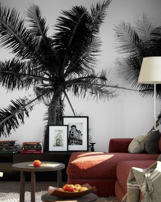 Palm Tree Looking Up II Scenic Wallpaper