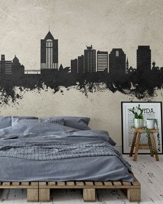 Roanoke Virginia Skyline Concrete Wallpaper