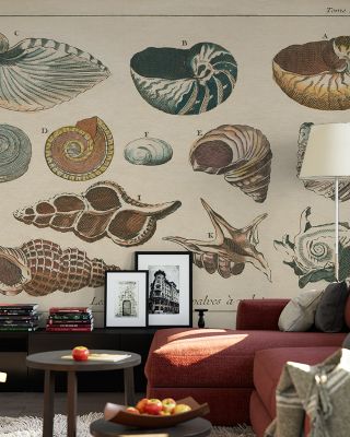 Shell Etchings I Abstract Wallpaper
