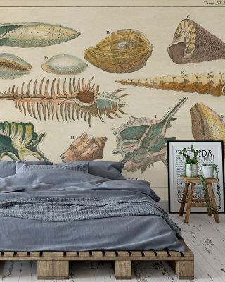 Shell Etchings II Abstract Wallpaper